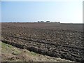 TA1664 : Ploughed field, Wilsthorpe by Christine Johnstone