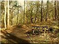 SJ9059 : Biddulph Country Park: picnic bench by Stephen Craven