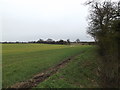 TM0883 : Footpath to Shelfanger Hall & Lodge Lane by Geographer