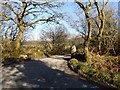 SX0561 : Road to Helman Tor by Philip Halling