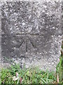 ST0012 : Ordnance Survey Cut Mark by Adrian Dust