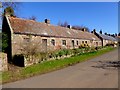 NT6475 : Cottages at Pitcox by Oliver Dixon