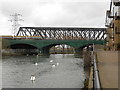 TL1998 : Nene Viaduct, Peterborough by Paul Bryan