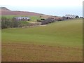 NT8270 : Cottages at Redheugh by Oliver Dixon