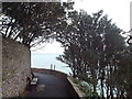 SX9262 : Coastal footpath, Torquay by Malc McDonald