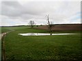 SE9365 : Standing  water  in   field  at  Croome by Martin Dawes