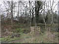 NZ0851 : Footbridge in Brownsbog Wood by Robert Graham