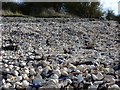 NX8453 : Shell beach at Rough Island by Gordon Brown