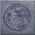 O2717 : Manhole cover, Bray by Rossographer