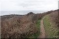 SS5185 : Coast Path at Oxwich Point by Bill Boaden