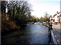 SU4619 : The River Itchen in Bishopstoke by Steve Daniels