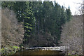 SH7223 : The Afon Mawddach near Ty'n y Groes by Nigel Brown