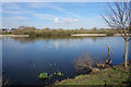 SK4288 : Catcliffe Flash Local Nature Reserve by Ian S