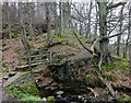 NZ0750 : Footbridge over the Wharnley Burn by Robert Graham