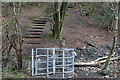 ST1899 : Kissing gate and steps, Nant Gwrhay by M J Roscoe