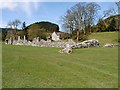 SO0571 : Cwmhir Abbey (Abaty Cwm Hir) Ruins by David Dixon