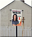 J3375 : Assembly election poster, Antrim Road, Belfast - April 2016(2) by Albert Bridge