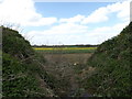 TM1256 : Footpath to the A140 Norwich Road by Geographer