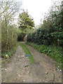 TM1154 : Footpath off The Hollows by Geographer