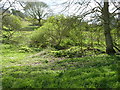 SO9439 : Remains of a hill barn on Bredon Hill by Jeff Gogarty