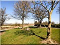 SJ9592 : Werneth Low Triangle by Gerald England