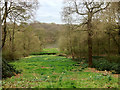 SE2712 : Looking Down Towards the Upper Lake at Bretton Country Park (YSP) by David Dixon