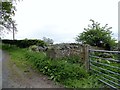 NZ0853 : Roadside ruins by Robert Graham