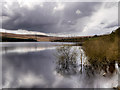 SE0119 : Baitings Reservoir by David Dixon