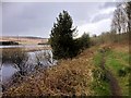 SE0019 : Shore Path, Baitings Reservoir by David Dixon