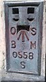 SN1746 : OSBM Flush Bracket S0558 - Cardigan Town Hall by N Scott