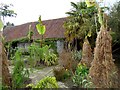 TQ8125 : The Exotic Garden at Great Dixter by Oliver Dixon