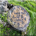 J4477 : Tree stump, Cairn Wood by Rossographer