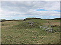 NG3337 : Chambered cairn by Richard Dorrell