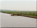 SJ4777 : Landing Stage and Sheep, Ince Banks by David Dixon