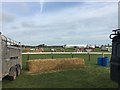 SJ5567 : Kelsall Hill Horse Trials: showjumping arena by Jonathan Hutchins