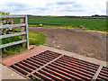 NZ3705 : Cattle grid at Outgate Corner by Mick Garratt