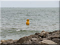 SZ0487 : "No Craft" Marker Buoy at Sandbanks by David Dixon