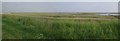 TQ9694 : Wallesea Lagoons Panorama by Glyn Baker