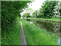 SP0394 : Caught anything? - Tame Valley Canal, West Midlands by Martin Richard Phelan