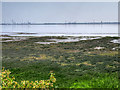 SJ4282 : Looking Across the Mersey Estuary by David Dixon