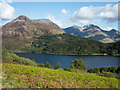 NN0960 : New bracken growth above Loch Leven by Trevor Littlewood