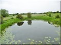 SP6406 : Ickford, pond by Mike Faherty