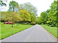 SW4431 : Spring colours at Trengwainton Gardens, near Penzance by Derek Voller