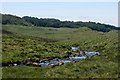 NM9000 : Socach Burn below Loch Gainmheach by Patrick Mackie