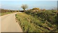 SX3399 : Wide verge at Herdicott Cross by Derek Harper