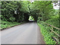 SO5819 : Tree canopy over the B4234, Bishopswood by Jaggery