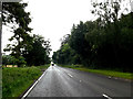 TL9182 : A1066 Thetford Road, Rushford by Geographer