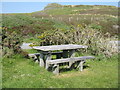 NG3338 : Picnic table at Struan by M J Richardson