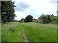 SJ8642 : Trent Vale: field path by Jonathan Hutchins