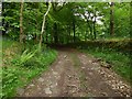 NS3578 : Curving track leading from a ford by Lairich Rig